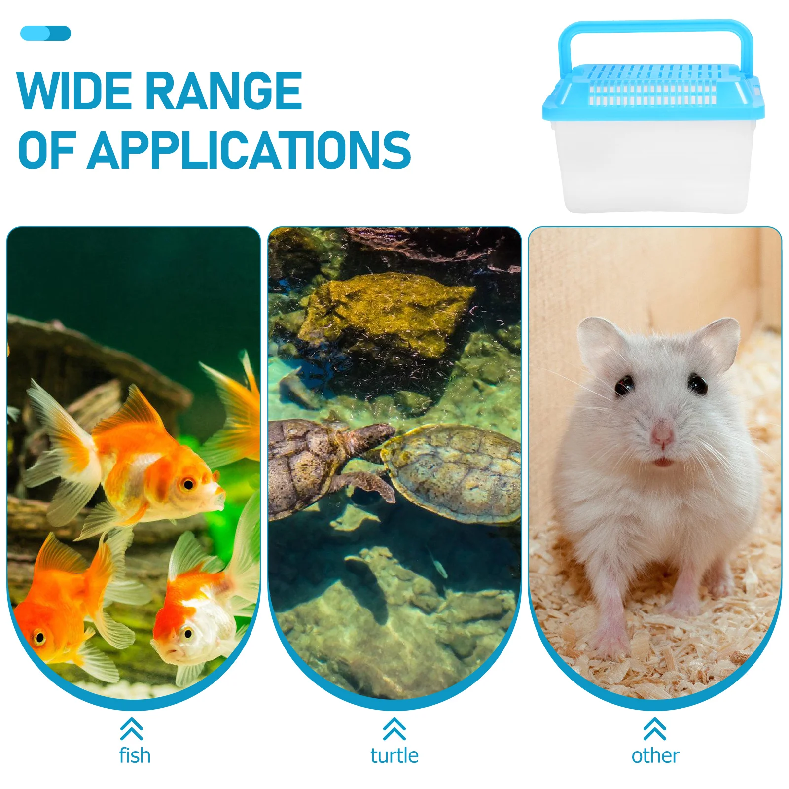 Пластиковый аквариум с черепахой рептилия террариум среда обитания черепаха