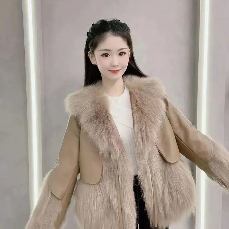 2022 Autumn And Winter New Fashion Slim Fit Panel Faux Fur Coat Short Plush Jacket Coat Women's Trend