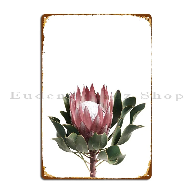 

Protea 2 Metal Plaque Cinema Cave Cinema Custom Garage Tin Sign Poster