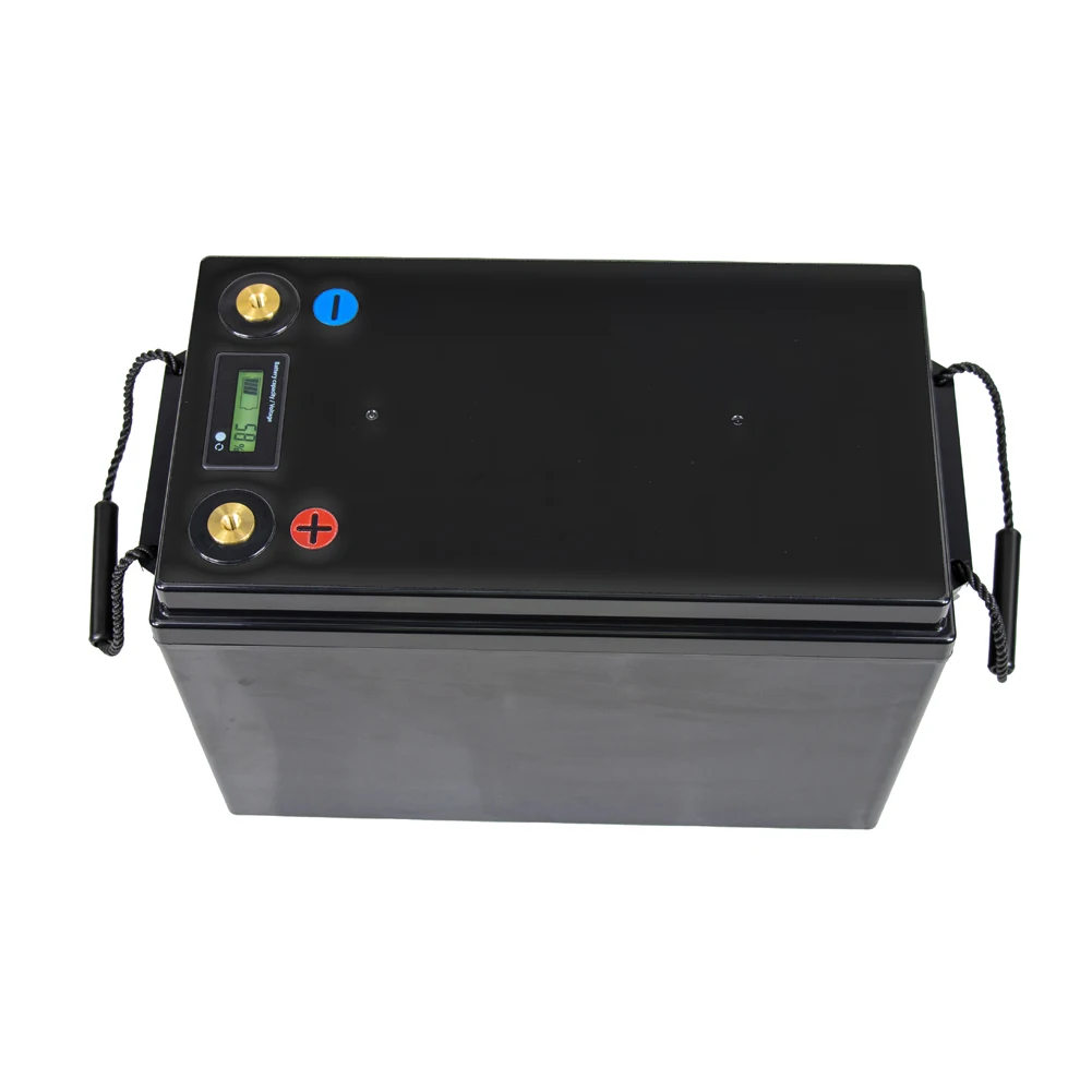 

12V 300Ah LiFePO4 Battery Pack Built-in BMS 200A 3.2 Lithium Iron Phosphate Batteries 6000 Cycles For 48V Solar 24V Yacht No Tax
