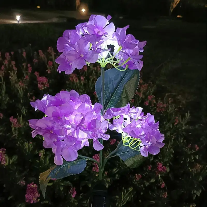 Рисунок 2 - Цветы, яркие декоративные солнечные цветы