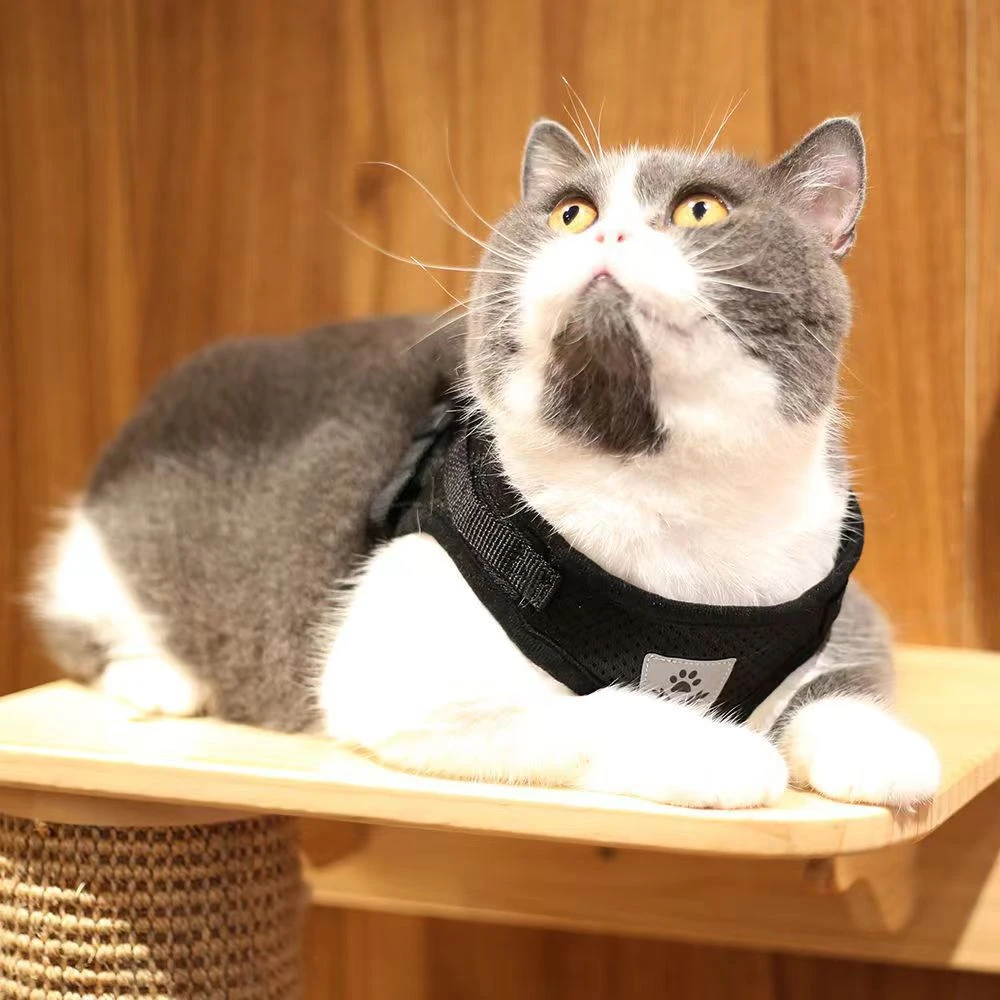 

Breathable Cat Harness Vest Adjustable Kitten Collar Small Dog Necklace and Lead Set Reflective Pet Chest Strap Accessories Red