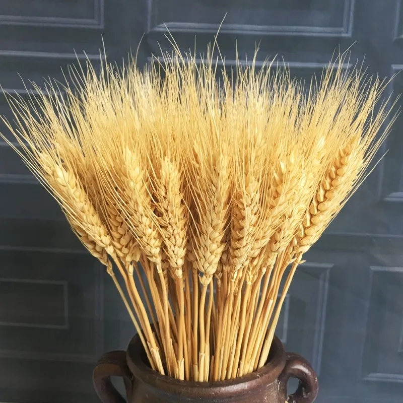

100PCS Wheat Ear Flower Natural Dried Flowers For Wedding Party Decoration DIY Home Table Wedding Christmas Decor Wheat Bouquet