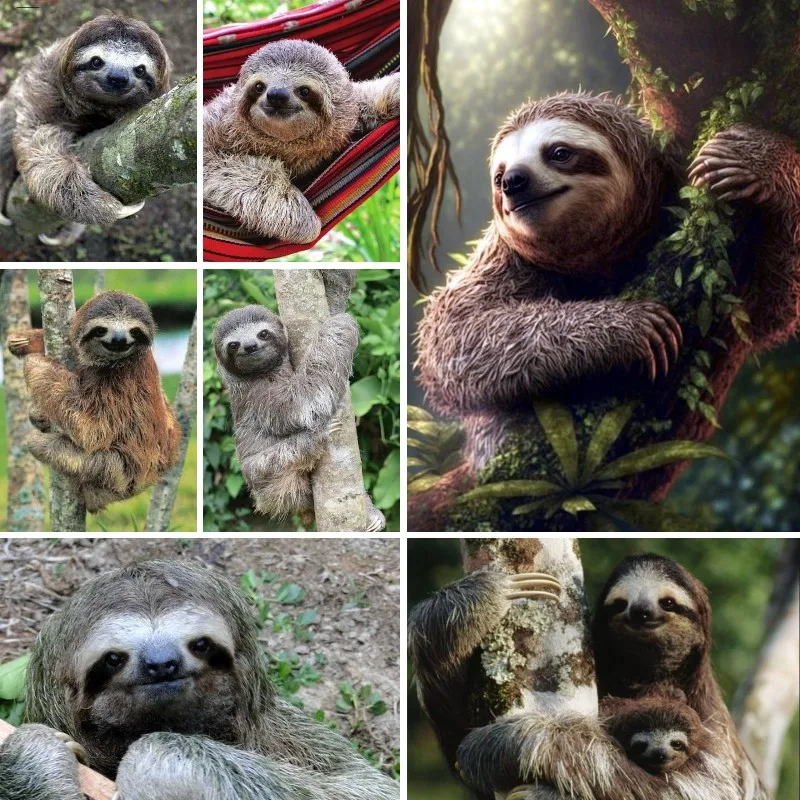 Australian Animals Sloth Baby Diamond Painting Full Square Round Drill Cross Stitch Embroidery Diamond Mosaic Crafts Art Gifts