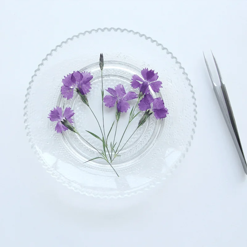 

8-11cm/12pcs,natural mini Dianthus chinensis branches,pressed flower real leaves DIY bookmarks petals makeup embossed table lamp