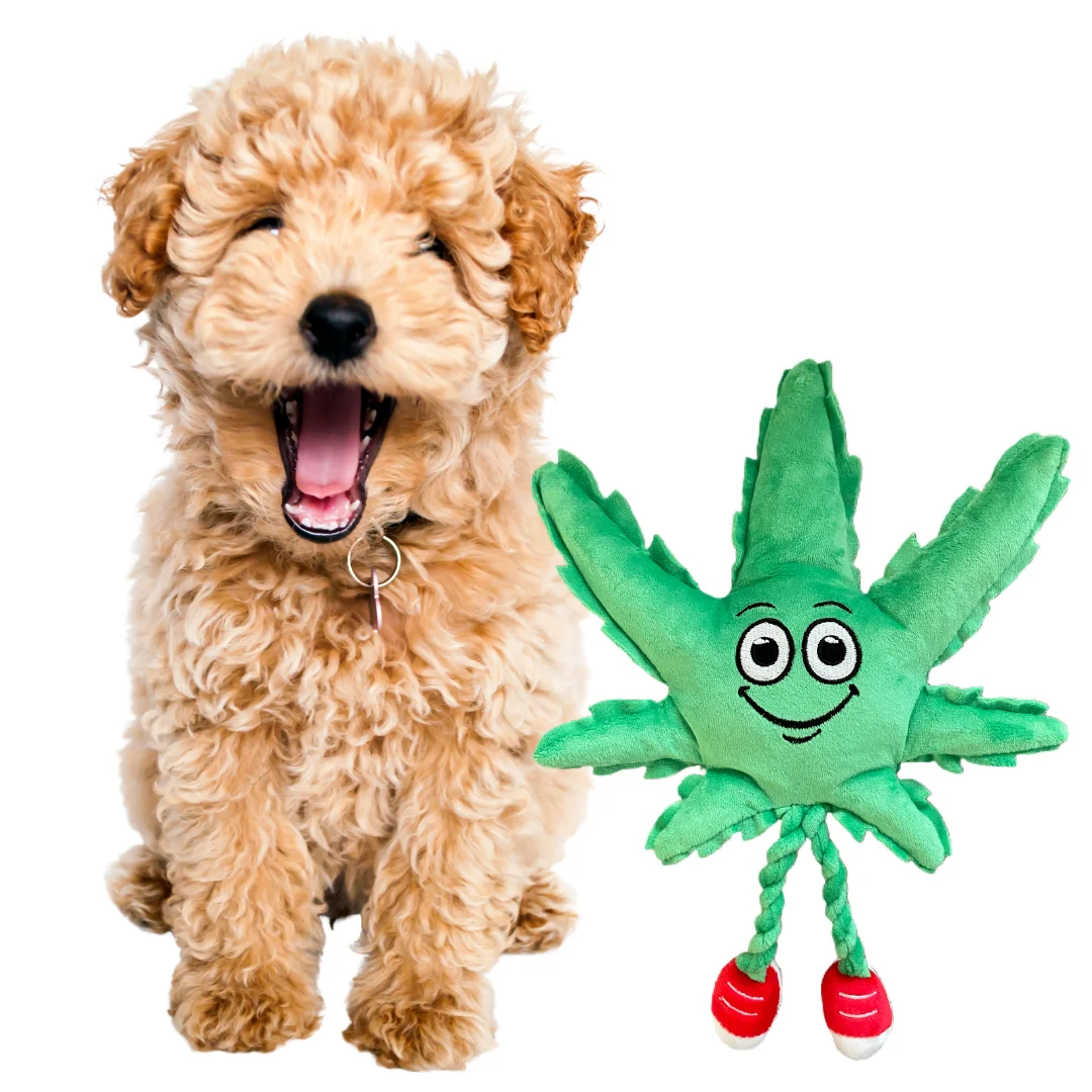 

MJ the Weed Leaf 420 Dog Toy