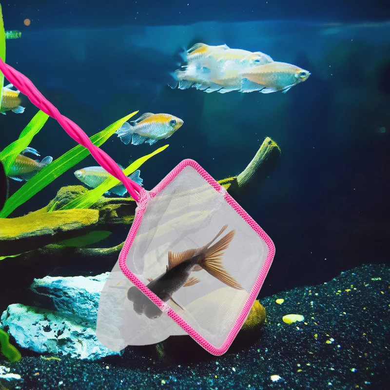 

Portable Fish Net Long Handle Square Aquarium Accessories Fish Tank Landing Net for Fish Floating Objects Crab Net Cleaning Tool
