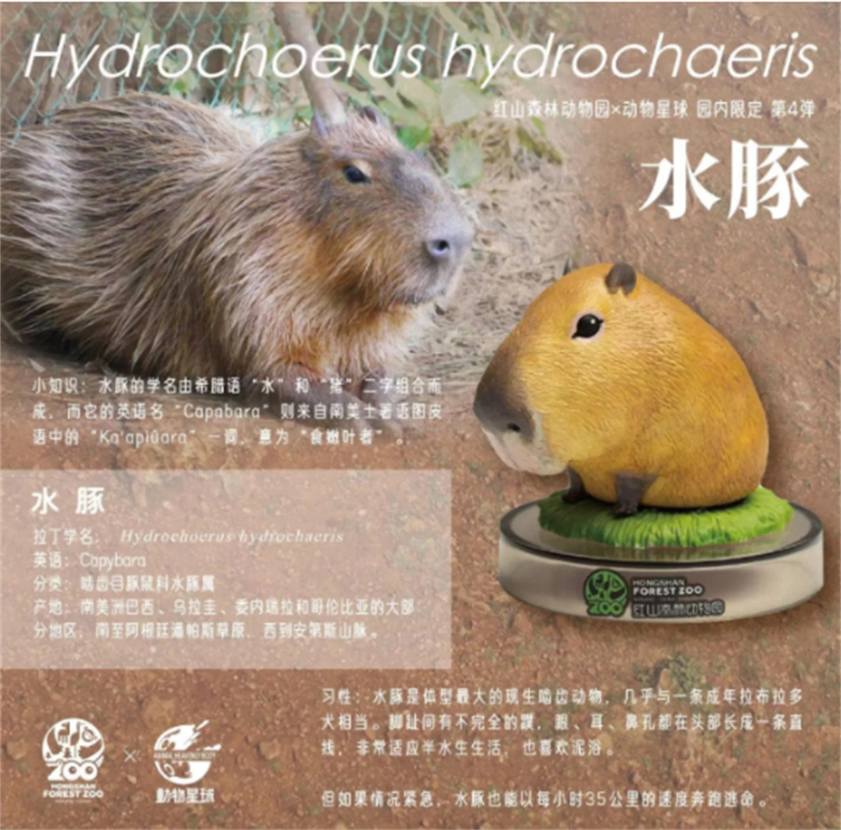 Рисунок 4 - Животные планета X Hongshan лесной