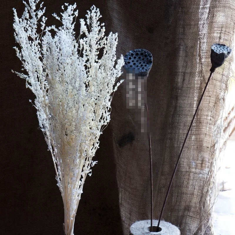 

Handmade DIY dried flowers, immortal flowers, flower arrangement materials, home soft decoration, white dry flowers, hay