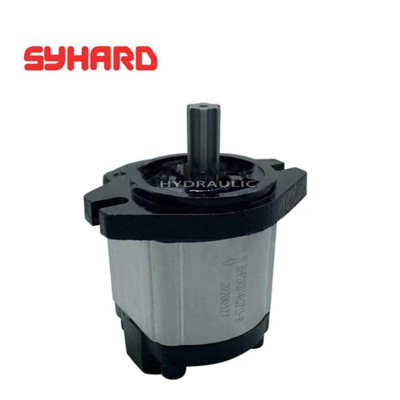 

Gear Pump HDCBDZ-F14AL12H1-BB HDCBDZ-F3AL12H1-BB HDCBDZ-F6AL12H1-BB HDCBDZ-F8AL12H1-BB