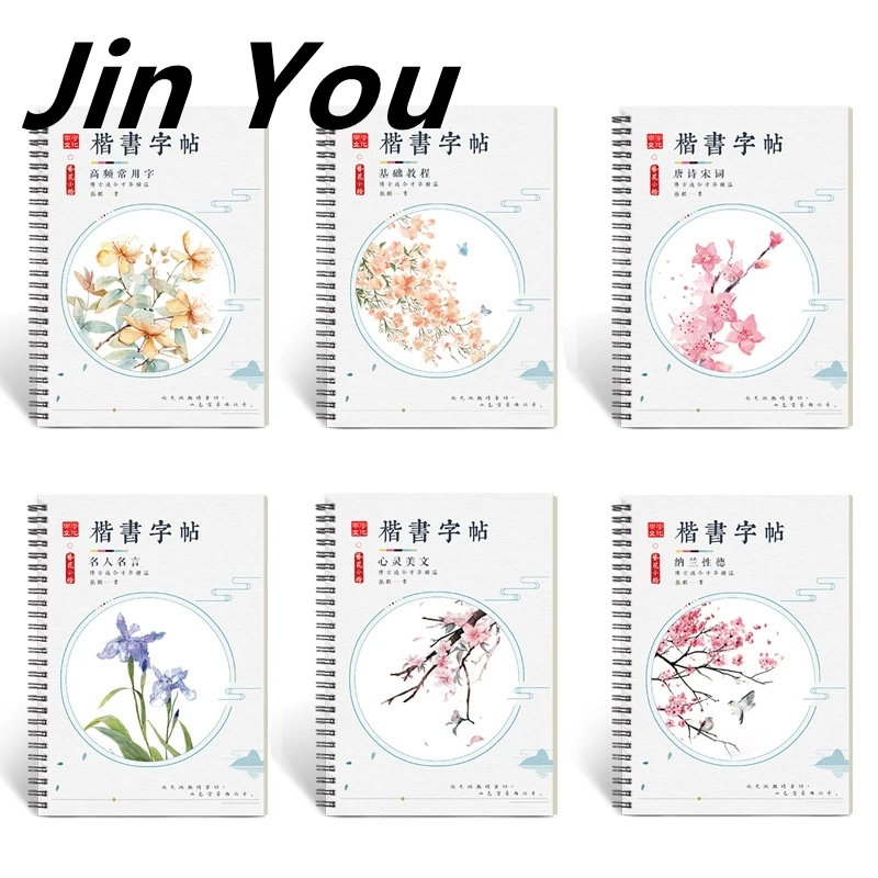 

6Pcs/Sets 3D Chinese Characters Reusable Groove Calligraphy Copybook Learn hanzi Adults Art writing Practice Books Libros