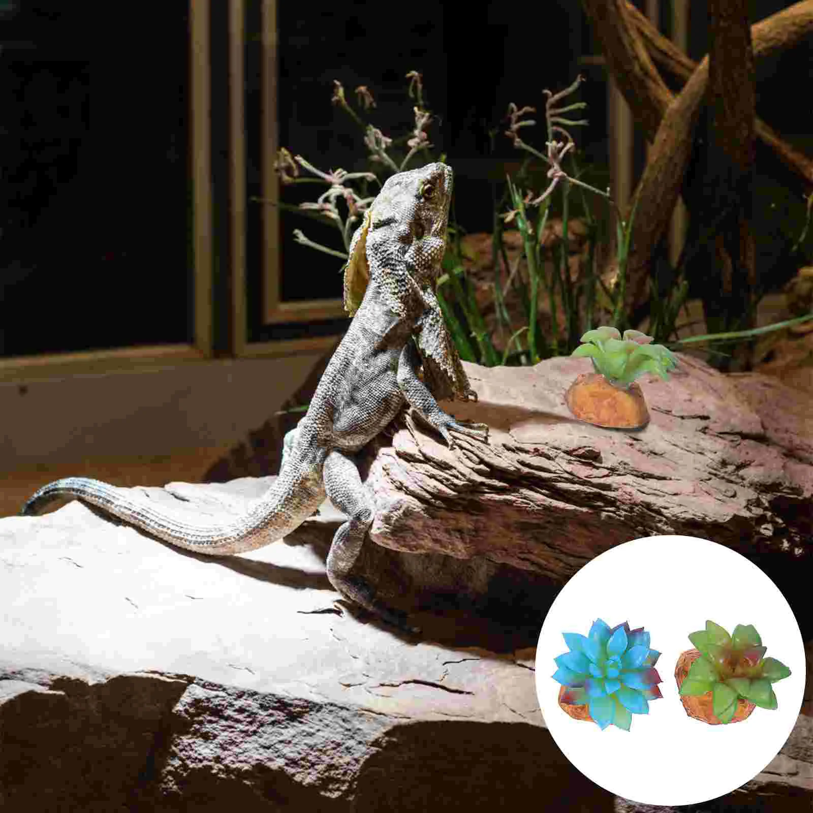 

2PCS Landscaping Imitated Plants Lifelike Reptiles Box Plants Decor for Room Store Shop