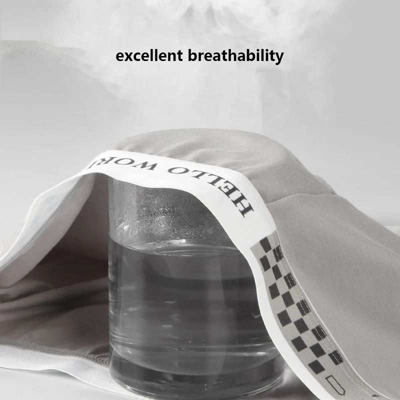 X-SNKER 4pcs Pure Cotton Men's Underwear Graphene Antibacterial Shorts Cuecas Boxers Sexy Para Hombre Underpants Panties