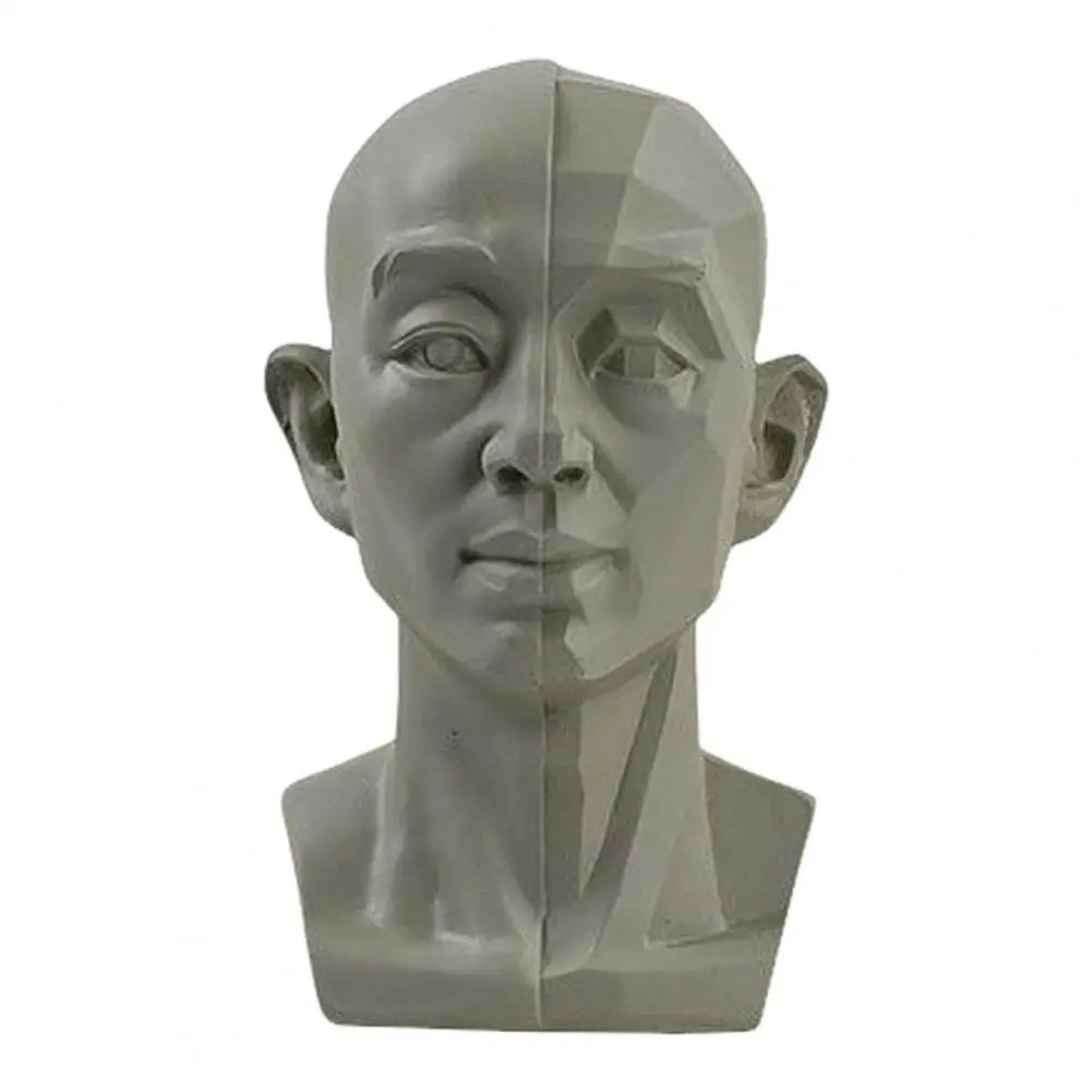 

Художественная модель черепа из смолы