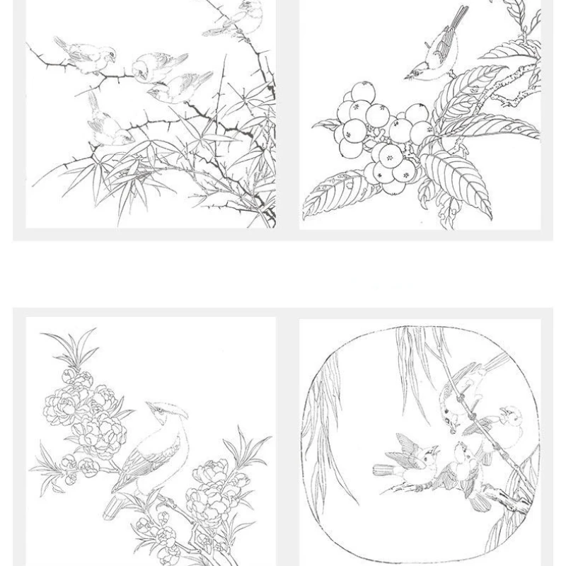 

Meticulous Painting Manuscript Ripe Xuan Paper Coloring Line Drawing Drafts Flowers Birds Copying Chinese Painting Manuscript