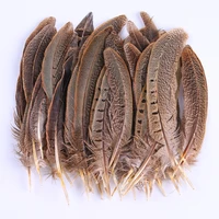 50 pieces of xiaoshan cocktail feather pheasant feather natural decorative feather wholesale jewelry accessories crafts