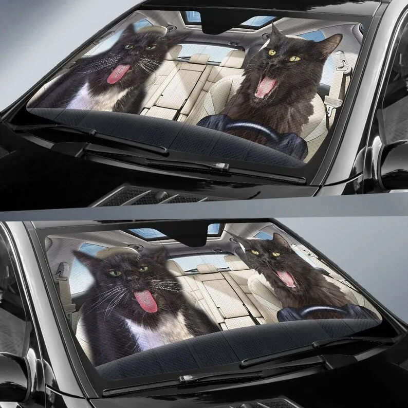 Рисунок 2 - Автомобильный солнцезащитный козырек