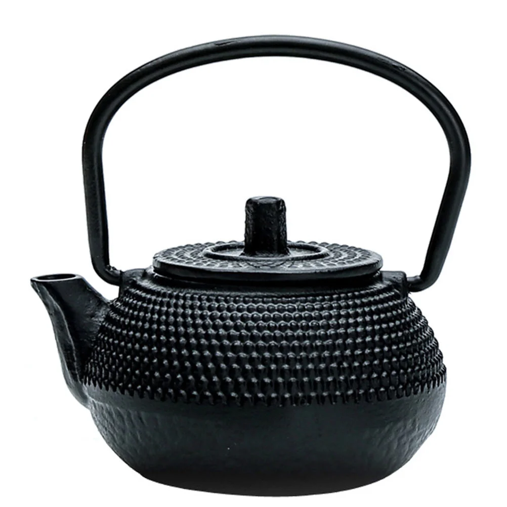 

Small Cast Teapot Small Japanese Tetsubin Tea Kettle with Stainless Steel Infuser Chinese Kungfu Gongfu Tea Set for Home Black