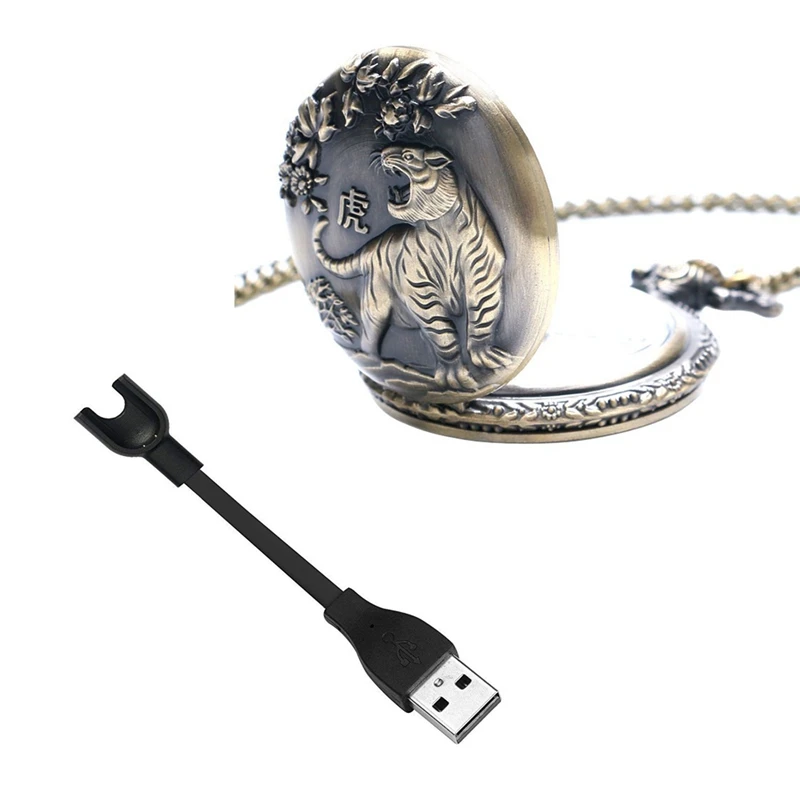 Рисунок 2 - большие карманные часы с бронзовым