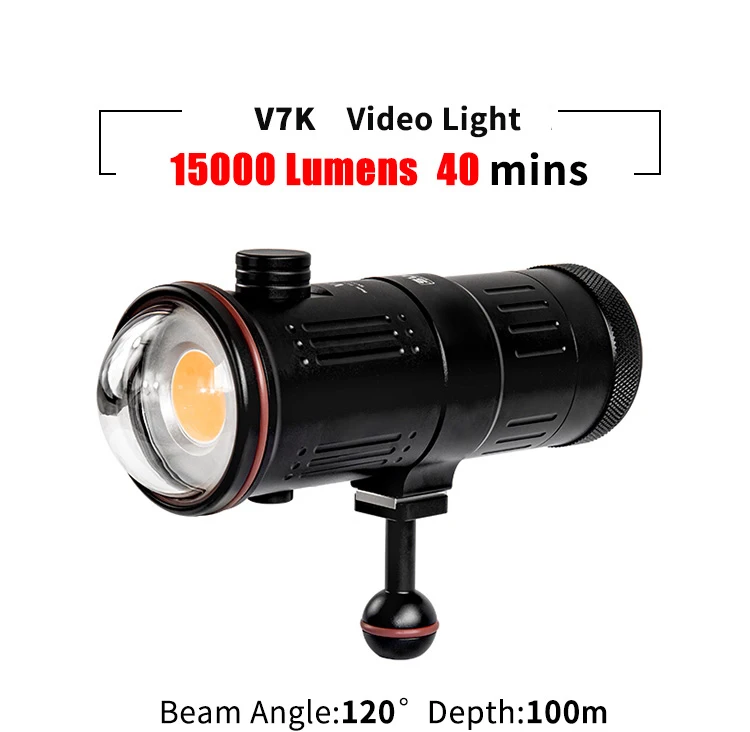 Рисунок 2 - Водонепроницаемая подводная фотография