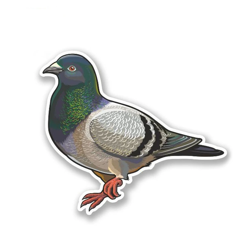 

LLY-2483 Fun Animal Pigeon Modeling Personality Car Stickers PVC Fashion Auto Window Bumper Waterproof Cover Scratches Decals