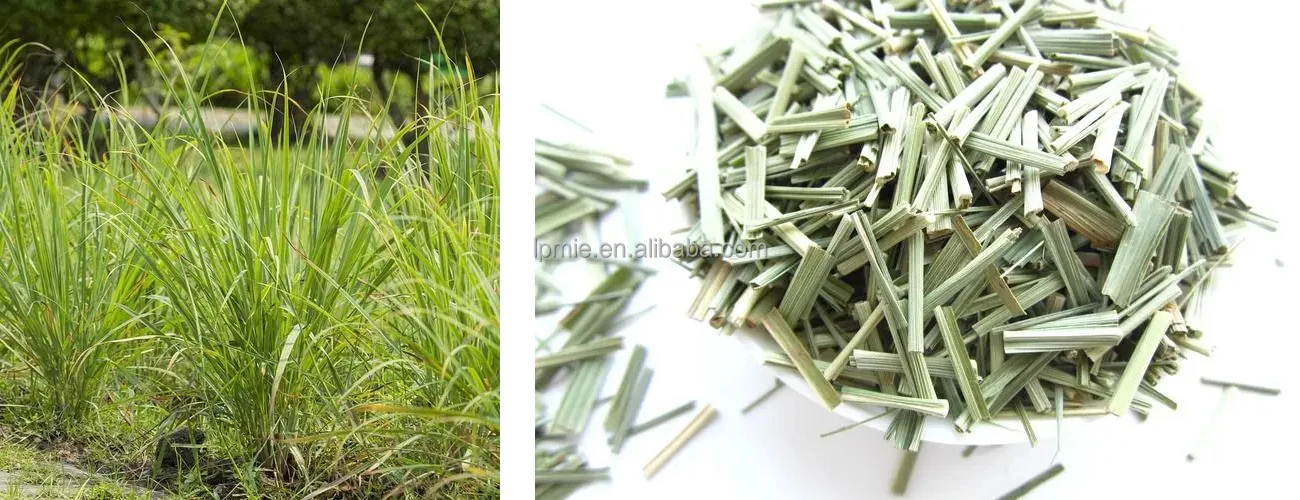 Простота в эксплуатации устройство для резки растений лозы зеленой короы травы