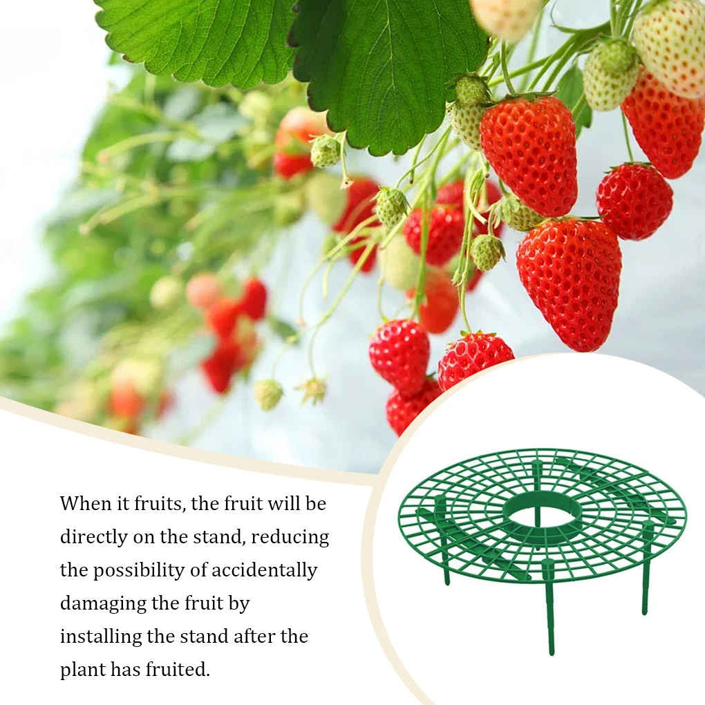 

10 шт., подставка для овощей и фруктов