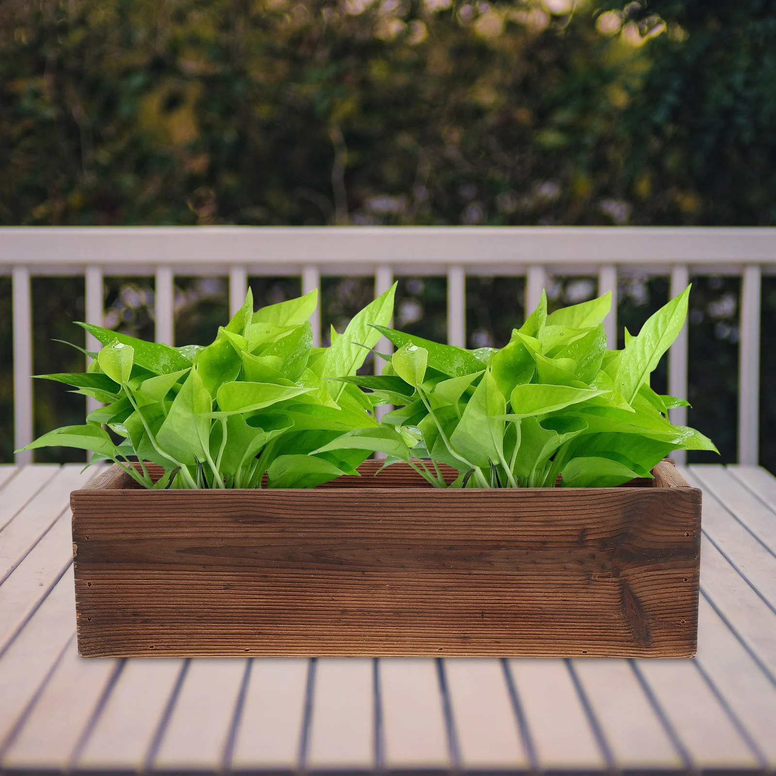 Цветочные горшки для комнатных растений садовый горшок цветочная оконная