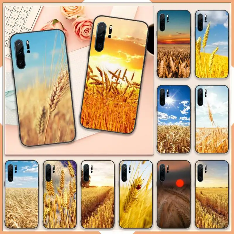 

wheat field autumn fall Phone Case For Huawei honor Mate 10 20 30 40 i 9 8 pro x Lite P smart 2019 Y5 2018 nova 5t