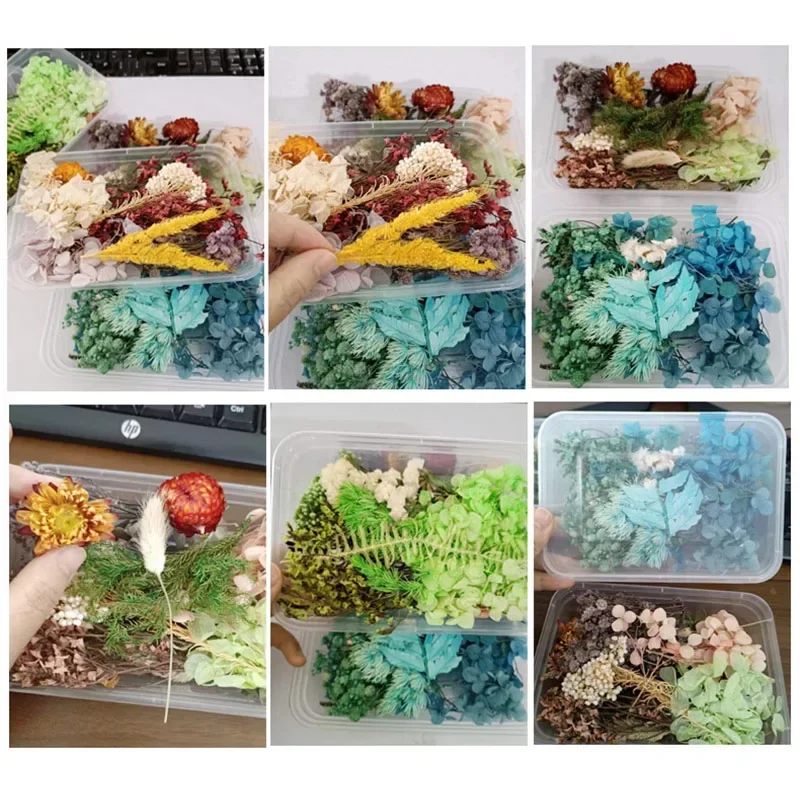 Воск для уплотнений Натуральные сушеные лепестки цветов свадьбы сделай сам