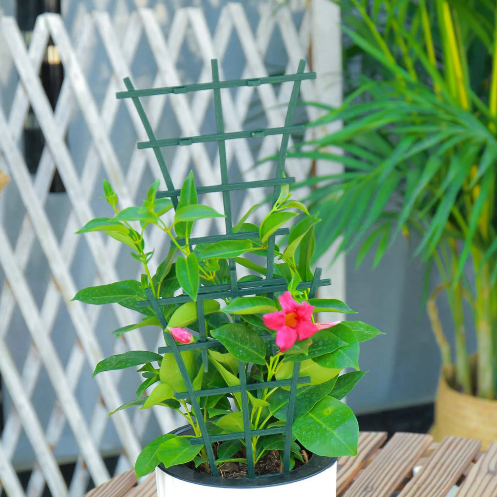 

2Pcs Garden Planting Trellis Potted Plant Growing Frame Durable Garden Plants Bracket Easy To Install Mini Grid Panels Trellis