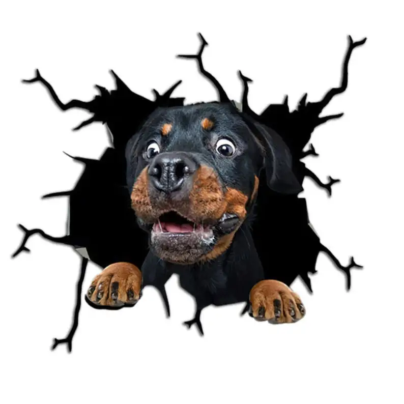 

Car 3D Crack Pet sticker - Dog Decal - Body or Vehicle Window Image Funny Paste Paper for Car Laptop Suitcases Wall Refrigerator