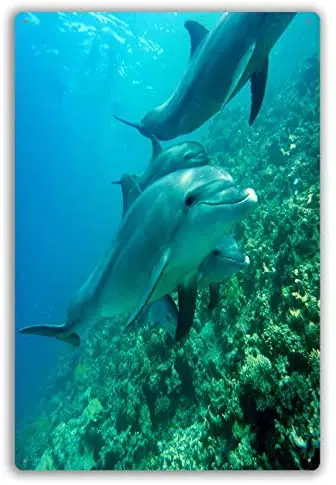 

Vintage Retro Metal Wall Decor Dolphin Underwater Blue Ocean Close Up Look