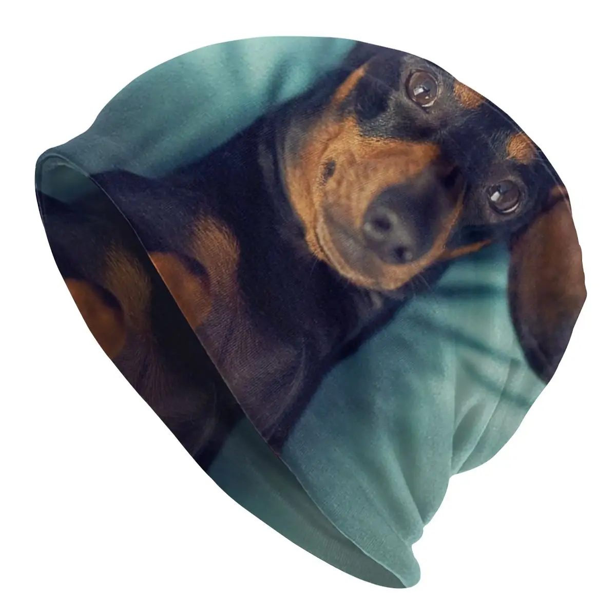 

Dachshund Slouchy Beanie Men Women Street Winter Warm Skullies Beanies Hat Adult Badger Sausage the Wiener Dog Knit Bonnet Cap