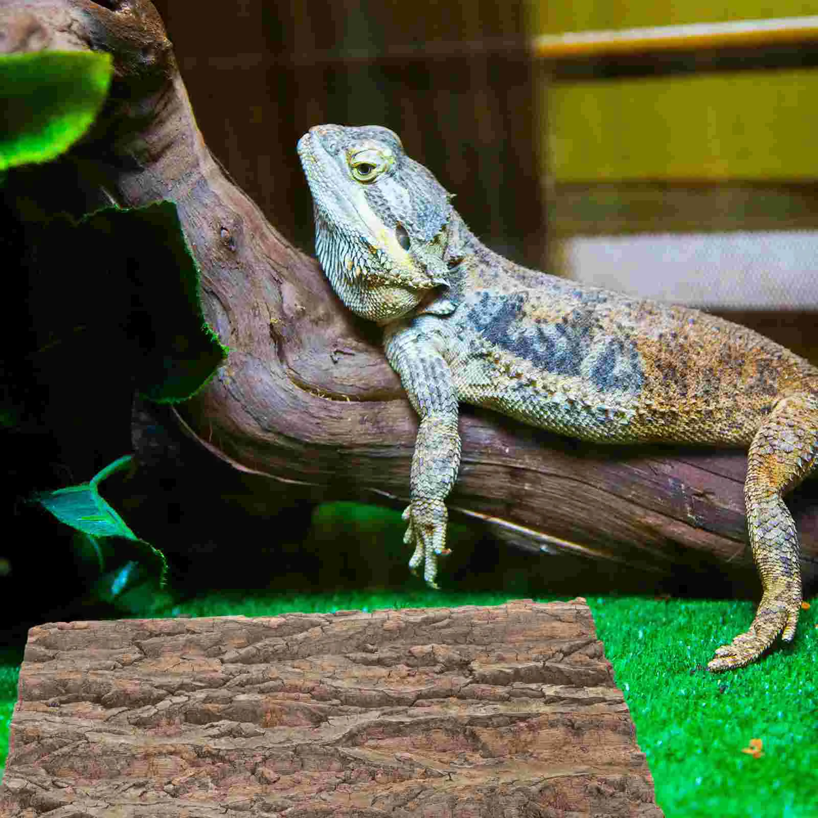 

Pet Fish Tank Landscaping Natural Reptile Bark Terrarium Backdrop Supply Delicate Aquarium Reptisoil Background Cork Climb