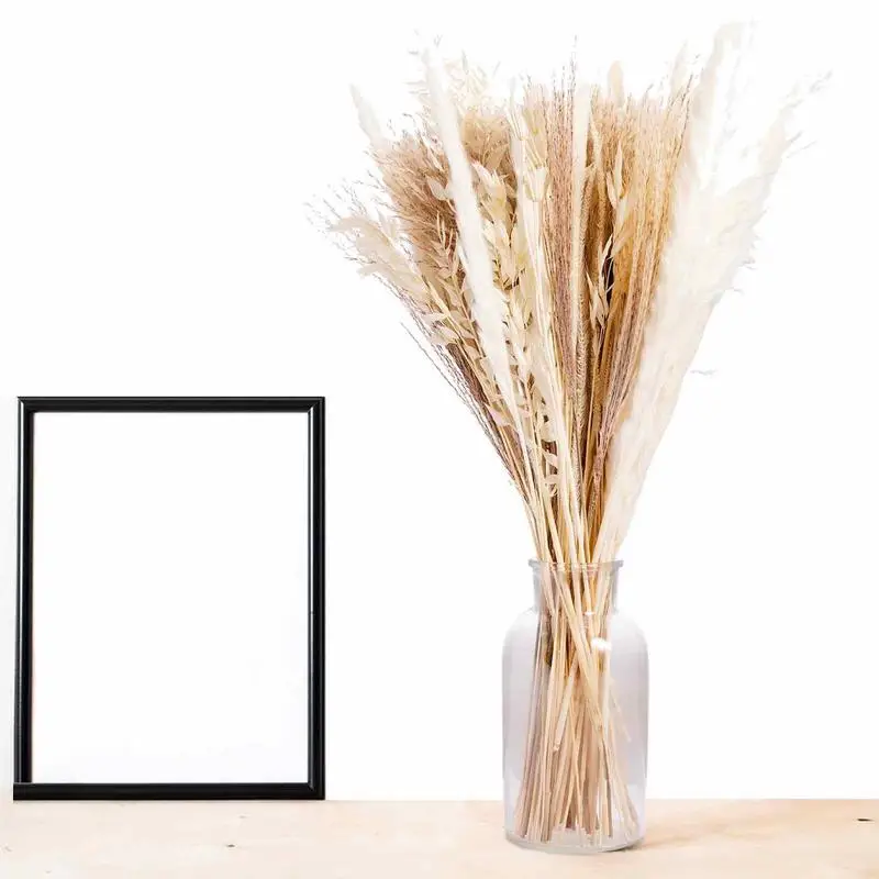 

Reed Grass Reed Pampas Grass Decor 100Pcs Wedding Flowers Fall Home Decor Flowers Add Warm Cozy Feeling Shaggy Fluffy Dried