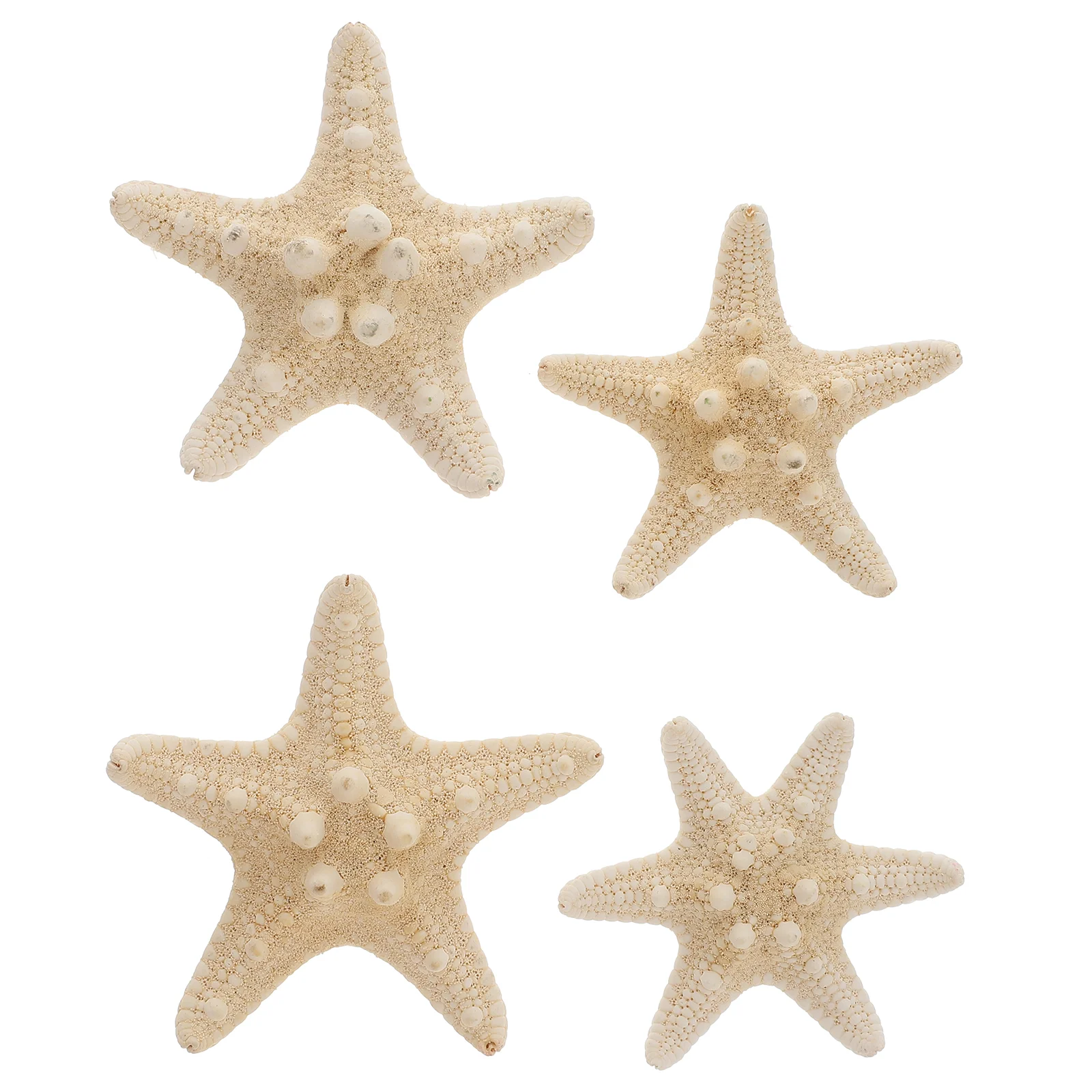 

4 Pcs Ocean Ornaments Home Decoration Beach Gift Mediterranean Marine Mixed Star Statuette