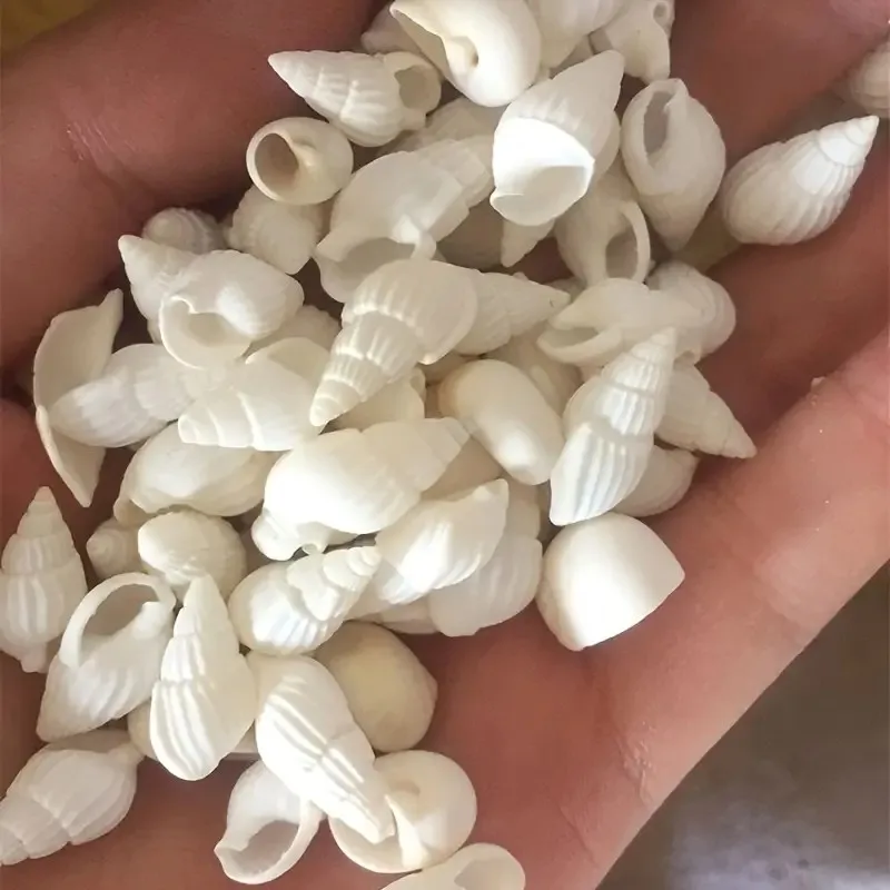 

Натуральные белые ракушки для аквариума и декора