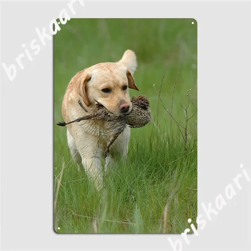 

Металлическая вывеска Лабрадор