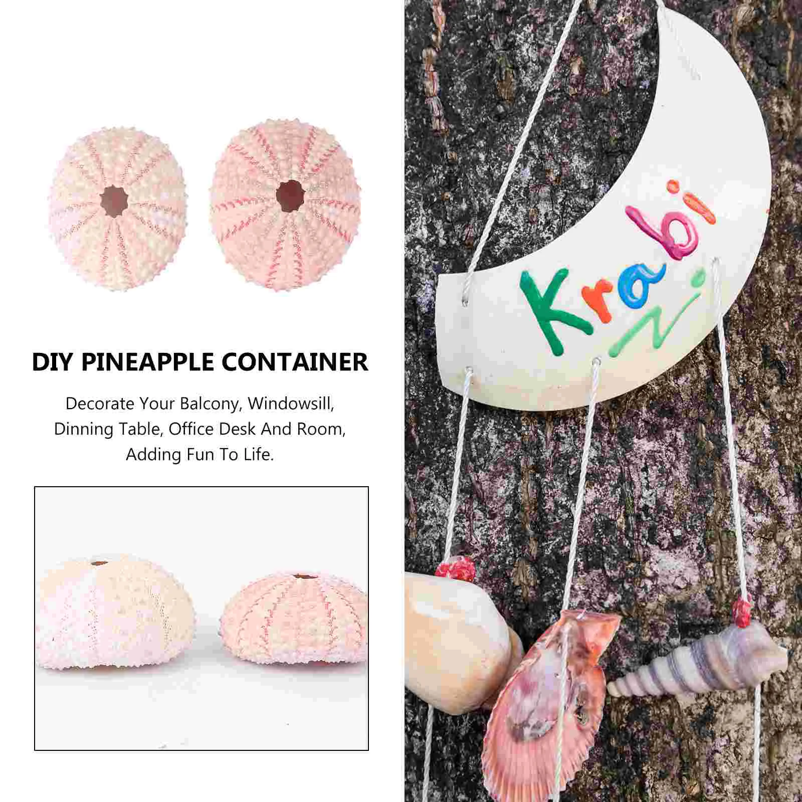 8 шт. контейнер для ананасов сделай сам | Ракушки и морские звезды