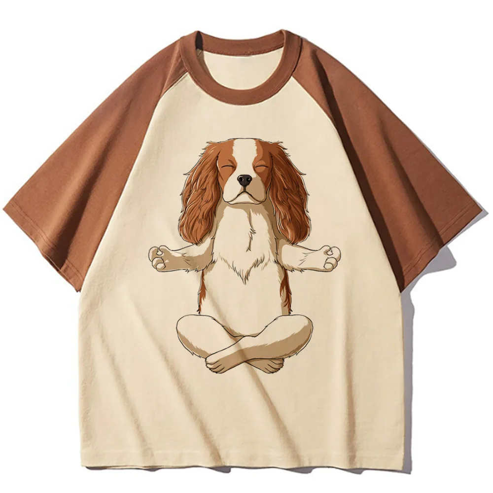 Собака кавалер Кинг чарльз спаниель