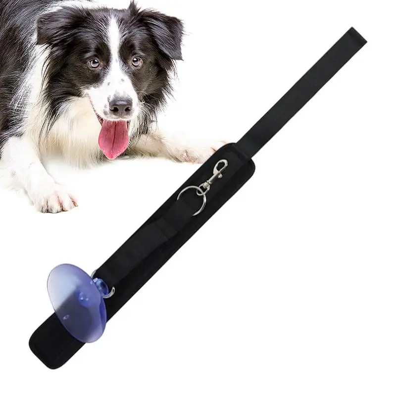 

Dog Bathing Pet Harness Leash Dog Bath Beauty Fixed Rope Bathtub Suction Cup Fixed Rope For Cats Dogs