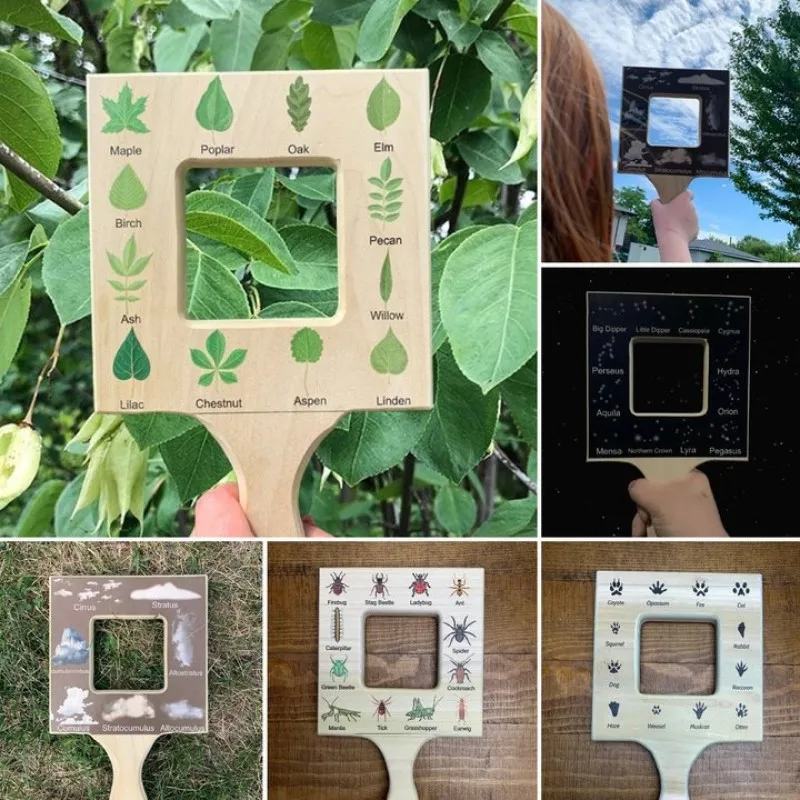 

Nature Guide Finder Leaf Finder облачный просмотр облачный идентификационный гид Nature Guide Frame материалы для Homeschooling Монтессори