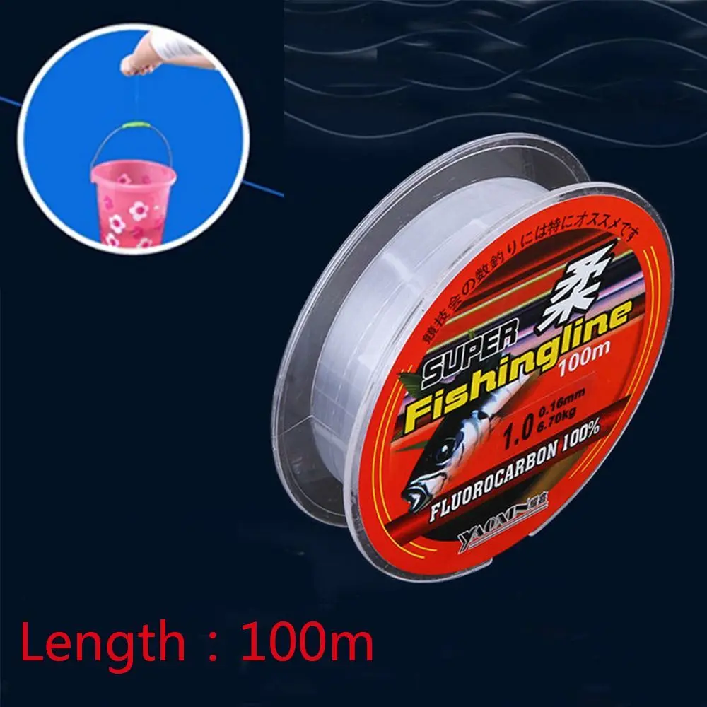 

100M Super Strong 100% Fluorocarbon Monofilament Nylon PA Fishing Line 08-6LB