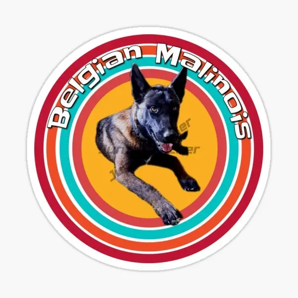 

Бельгийские аксессуары для малинуа, Pegatinas Para Coche, сделай сам, Стайлинг автомобиля, виниловая автогезия, водонепроницаемая наклейка