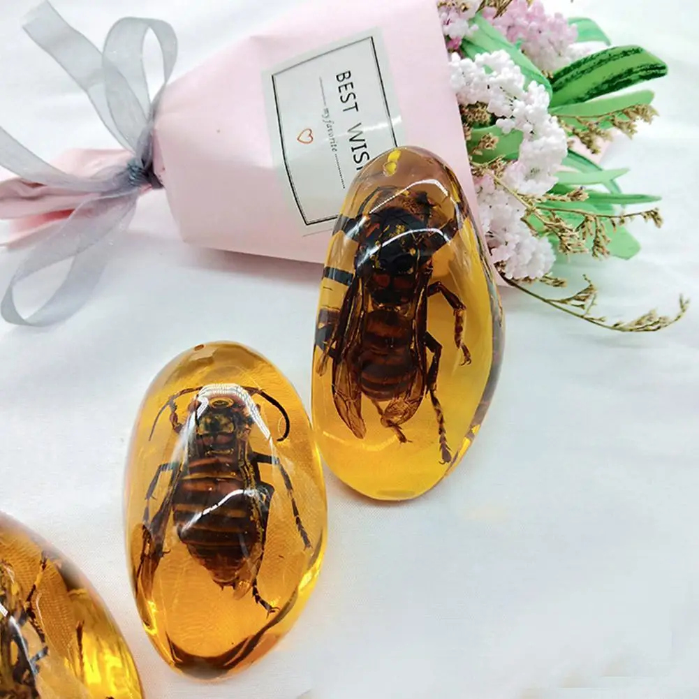 Натуральный Янтарный Скорпион образец насекомых камень кулон ожерелье