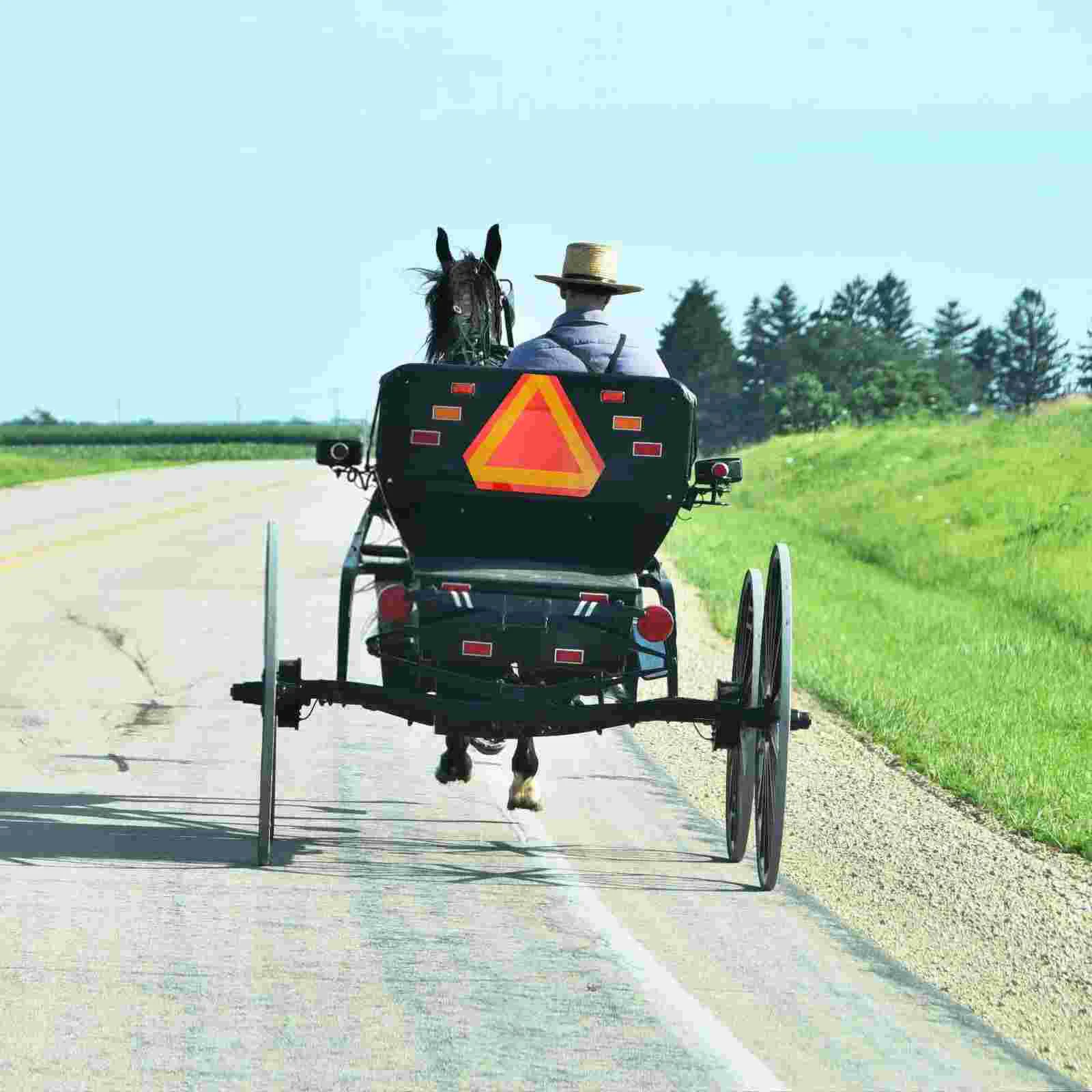 Рисунок 2 - треугольные отражатели для авт