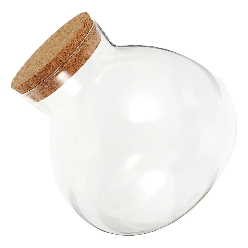 Фотография фотокактуса