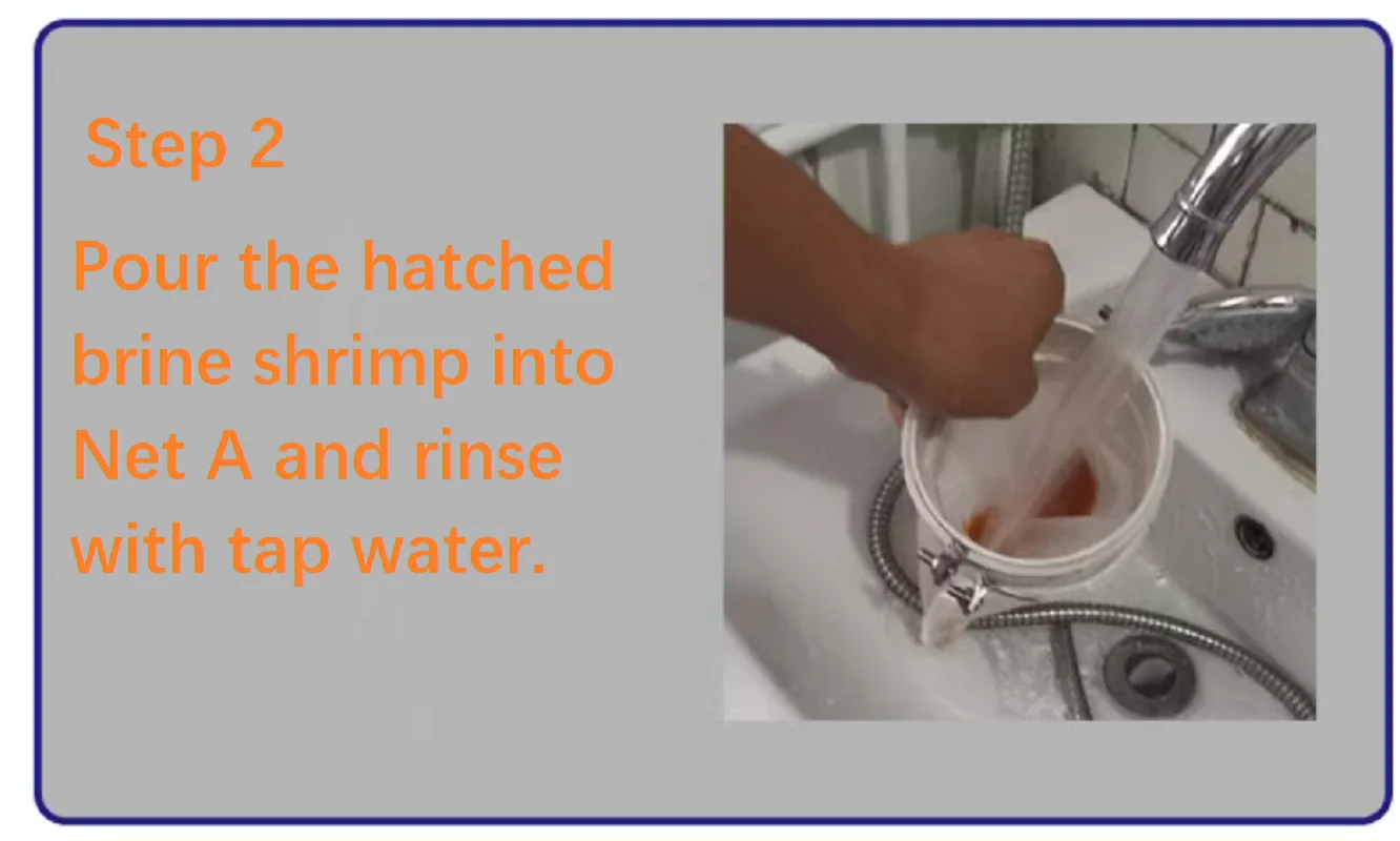 Инкубационный Сепаратор для яиц креветки