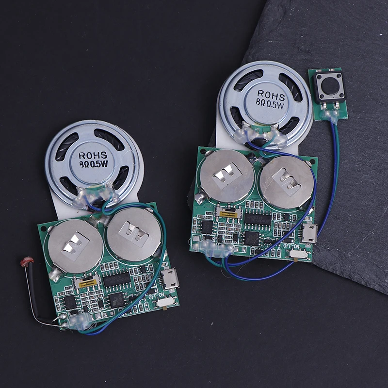 Программируемый звуковой модуль